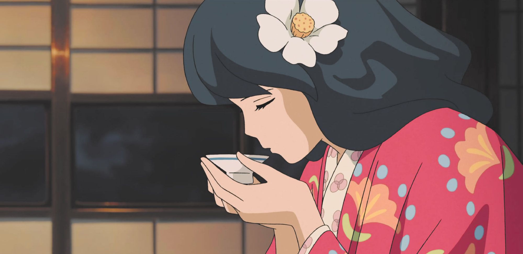 热播6